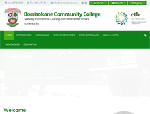 Tablet Screenshot of borrisokanecc.ie